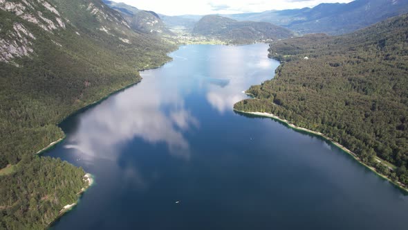 Aerial view on Bohinj lake between mountains with forest in Slovenia, Europe