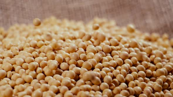 Soybean High in Fiber Top View Texture Supplementary Food Protein Healthy Food Organic Soybean Raw