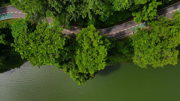 Aerial view Top-down green nature public park. Bike cycle way under green tree.