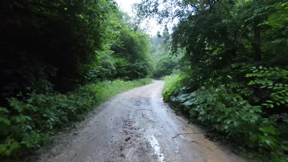 Fpv Aerial Fallowing Flying Shot Over a Country Road in the Misty Forest in the Mountain