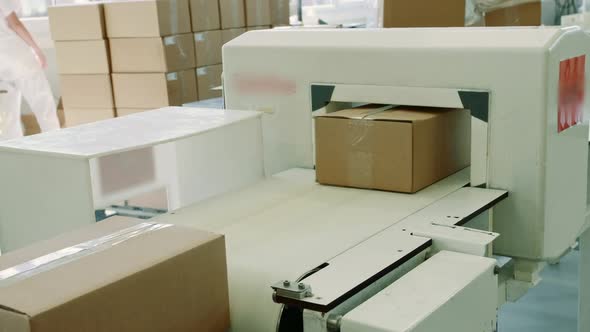 Candy Factory. Box with Candies on Conveyor.