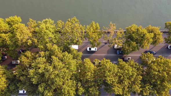 Cars And Trees By The Riverside Highway