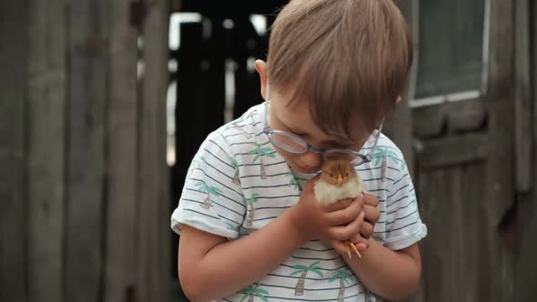 Child Holding a Chick in Hand in the Backyard of Farm