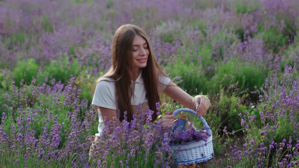 Smiling Farm Girl Collecting Flowers in Lavender Field