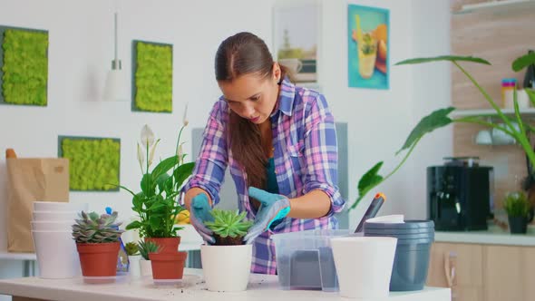 Arranging the Flower in Pot