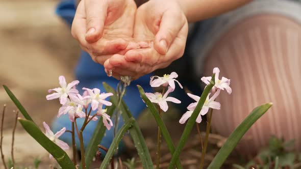 a Little Girl Watering Flowers From the Palms of Her Hands