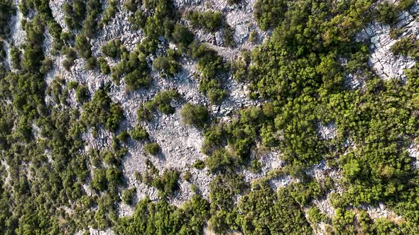 A group of travelers goes downhill 4 K