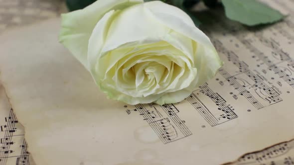 White Rose And Vintage Sheet Music Rotating