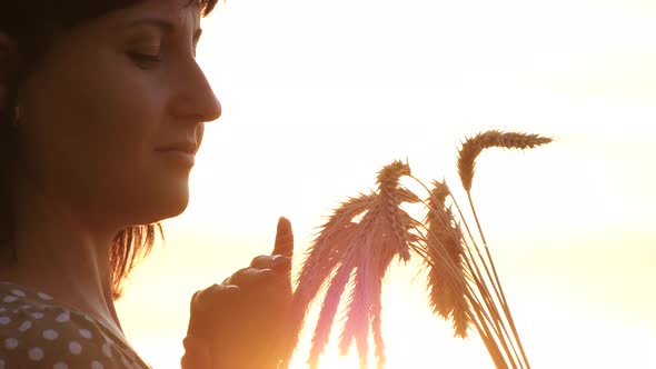 Close-up of a Female Face. The Girl Holds in Her Hands Ripe Ears of Wheat, Gently Touching Her