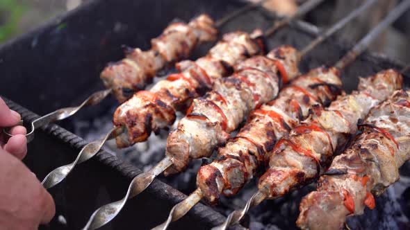 Barbecue Meat on Skewers, Beautifully Browned Meat on the Grill. A Pork Meat on the Grill in the