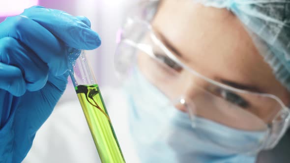 Medical Scientist Inspecting Microgreens Wearing Protective Unform Working in Laboratory