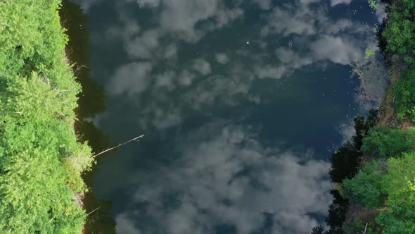 Top View of Calm Summer Lake