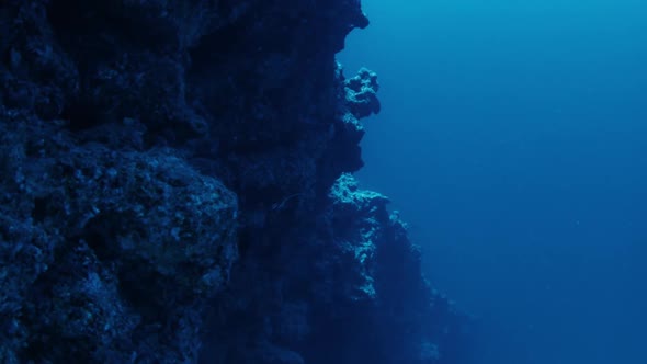 Underwater View of the Steep Rock From the Depth