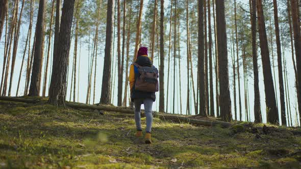 Euphoric Pretty Woman with Tourist Backpack Walking Alone Through Summer Forest Wild Nature Enjoying