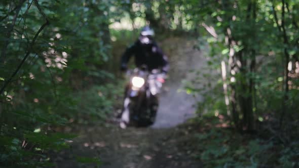 Extreme Riding in the Dense Forest Among the Trees Sunny Weather