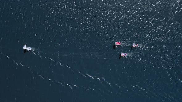 Top view of small boats regatta on the lake in summer, aerial view