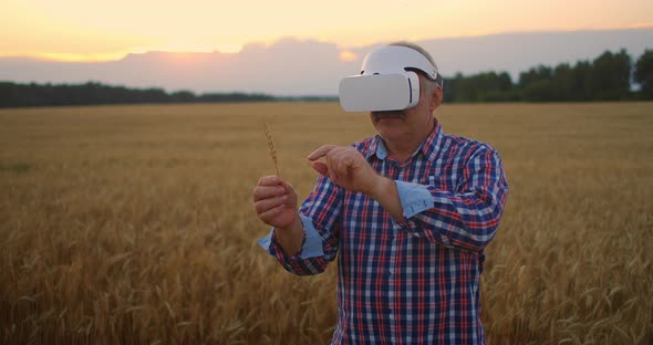 Senior Adult Farmer Uses Virtual Reality for Farming By Holding a Spikelet in His Hands and Pressing