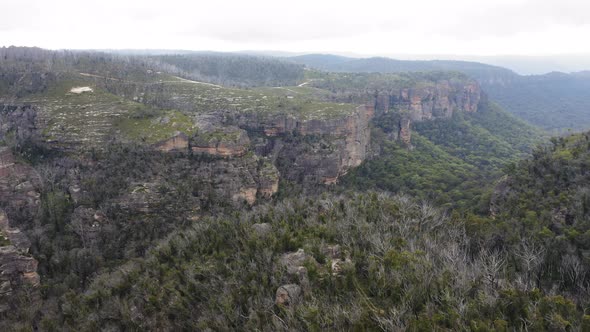 Drone aerial footage of trees in a large valley recovering from severe bushfire in Australia