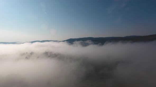 Morning Fog On A Mountain