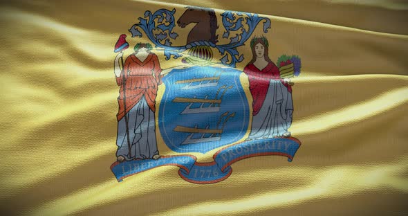 New Jersey state flag waving background