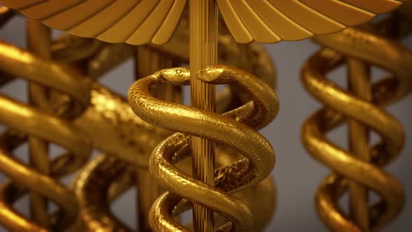 Rod of Asclepius, a symbol of healthcare and medical practice. Zoom-out view. HD