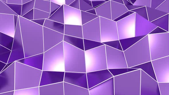 Triangular Polygon Mesh