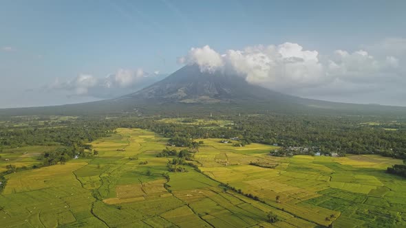 Green Meadow at Mayon Volcano Eruption Aerial