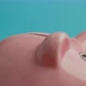 Saving Up Yen Coins In a Piggy Bank - VideoHive Item for Sale
