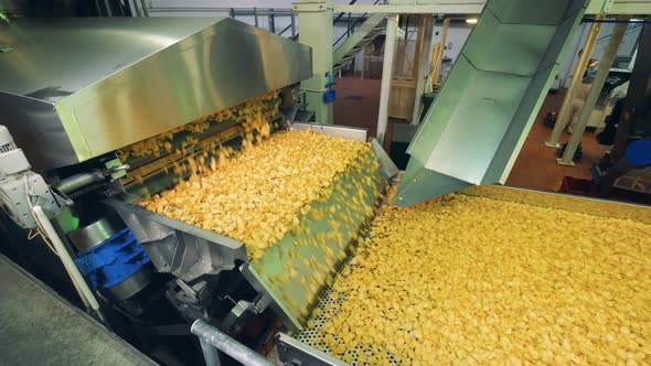 Fresh Chips on a Modern Conveyor at a Food Factory