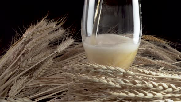 Pouring Beer Into the Glass