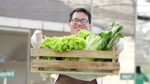Front view of happy Asian farmer standing and presenting the hydroponic vegetable