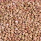 Buckwheat - VideoHive Item for Sale