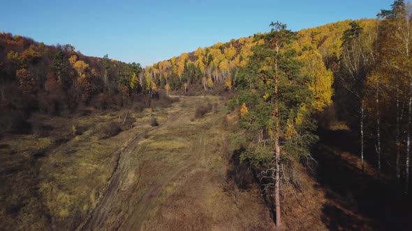 Aerial view of the Shiryaevsky ravine in the Samarskaya Luka national park.