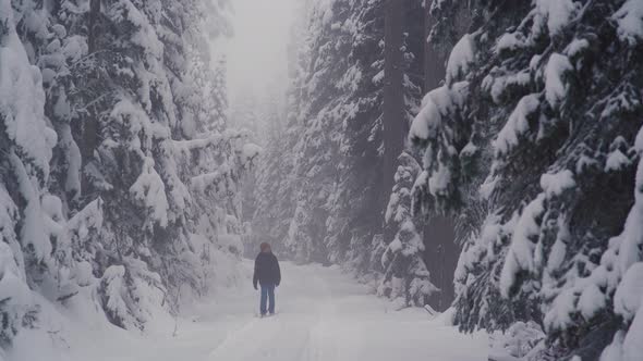 Lonely boy on the snowy road in the forest.