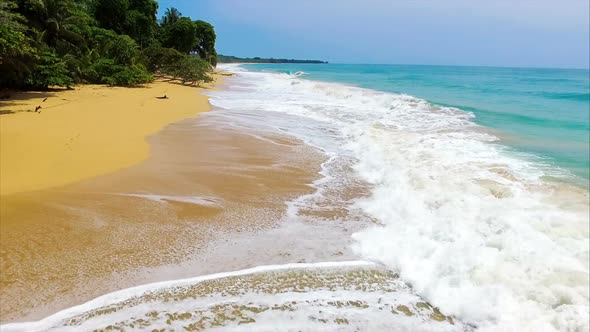 Caribbean Golden Unspoiled Sandy Beach Aerial Drone View