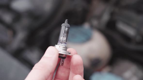 Replaced Car Light Bulb in Hand Close Up