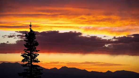 Time lapse of vibrant sunset looking past single tree on mountain top