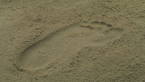 Foot Print In The Sand