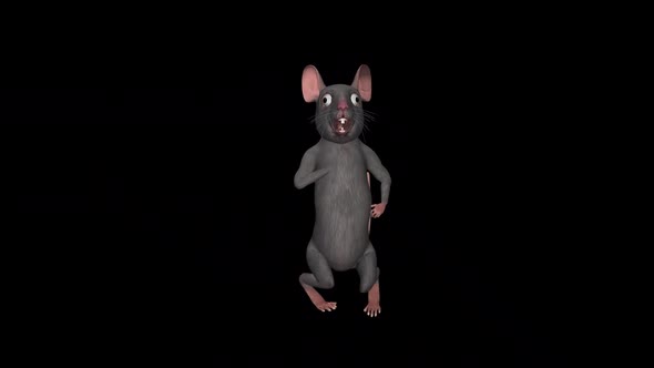 Funny Rat - Dance Loop - I alt
