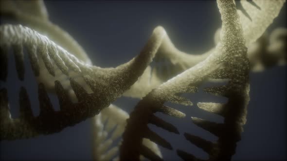 Loop Double Helical Structure of Dna Strand Close-up Animation