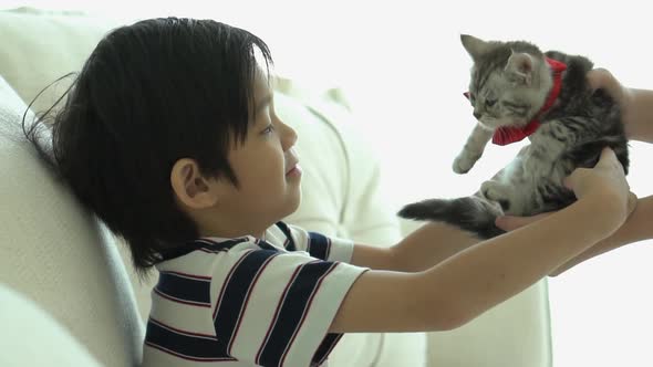 Asian Mother Giving A Kitten To Her Son Slow Motion