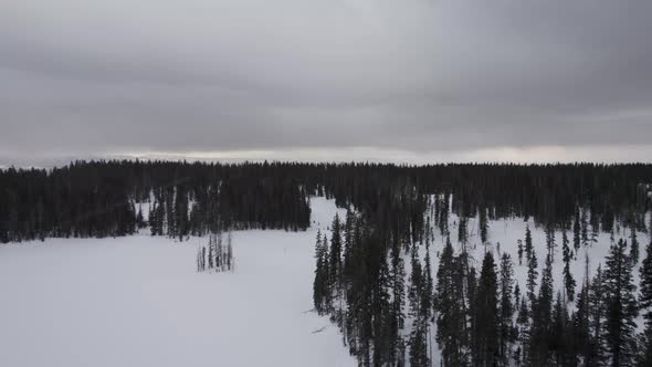 Snow flurries falling in a snowstorm