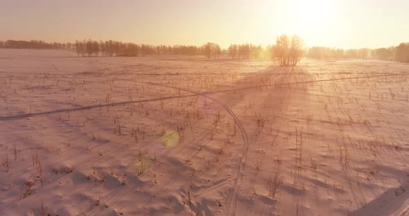 Aerial Drone View of Cold Winter Landscape with Arctic Field, Trees Covered with Frost Snow 