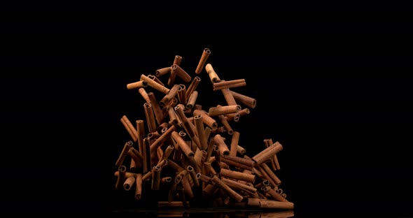 Cinnamon sticks, cinnamomum zeylanicum, spice falling against Black Background, Slow Motion 4K