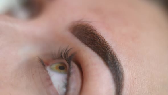 Closeup Eye of Young Caucasian Woman with Camera Moving to Hands in Gloves Tattooing Eyebrow with