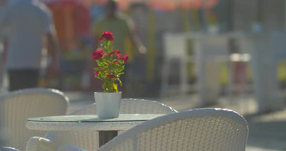 Empty table with flower in street cafe
