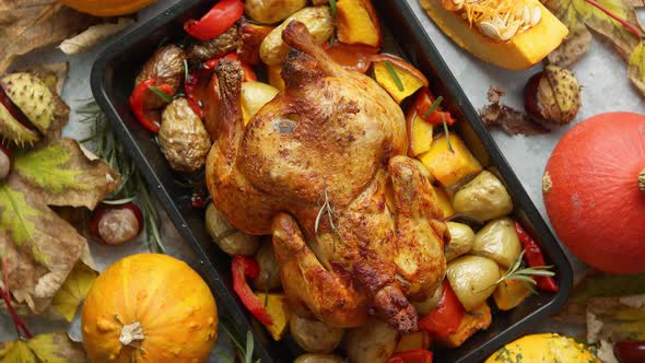 Roasted Whole Chicken or Turkey with Pumpkins, Pepper and Potatoes. With Colorful Mini Pumpkins