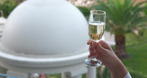 Champagne Glass Against Nature View