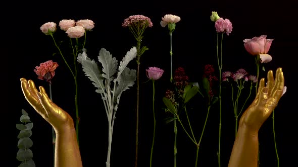 Gold Hands Clap on Black Background with Flowers Lay on the Table. Nice Footage of Woman Hands