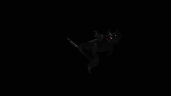 15 Panther Dancing HD